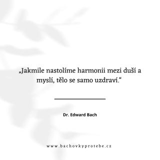 Možná znáš ten pocit, kdy tělo říká stop, ale hlava chce dál. Kdy jsme unavení, podráždění, nebo pořád dokola řešíme...