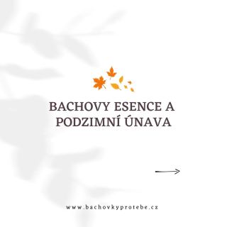 Podzim je tady 🍃 s ním ale i únava, deprese, stres, melancholie. Jak s tím bojovat? . 🍂 Podzim s sebou přináší krásné...